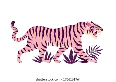 Tiger and tropical leaves. Trendy illustration.
