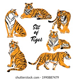 Tiger various poses wildlife animal vector illustration flat design