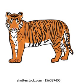 Tiger Vector Stock Vector (Royalty Free) 156329405 | Shutterstock