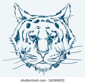 Tiger Vector Stock Vector (Royalty Free) 165304592