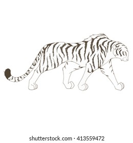 Tiger / Tiger vector