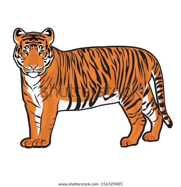 虎のベクター画像 のベクター画像素材 ロイヤリティフリー