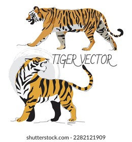 Tiger Vector Art, Icons, and Graphics