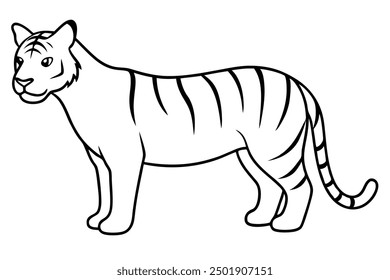 A Tiger vector art illustration