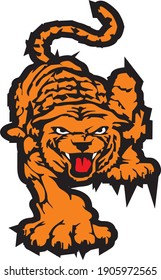tiger in vector art style