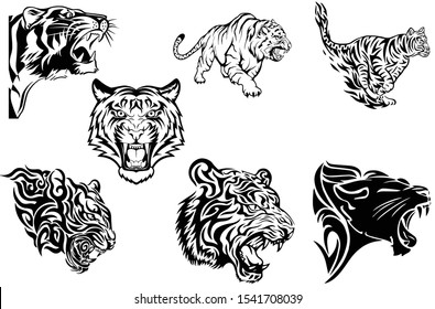 Tiger vector collection for illustration creativity