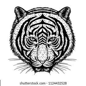 Tiger vector drawing on white background.Tiger tattoo art highly detailed in line art style.