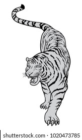 Tiger vector file