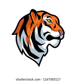 tiger vector graphic illustration