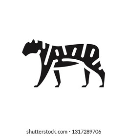 Tiger vector icon