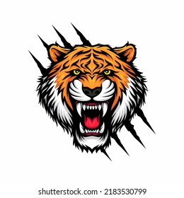Tiger vector icon logo mascot illustration
