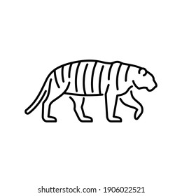 Tiger vector icon. Wild cat illustration. Predatory animal sign.