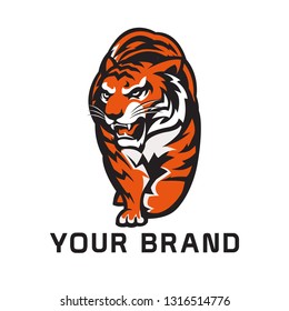 tiger vector illustration