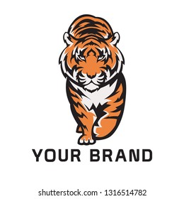 tiger vector illustration