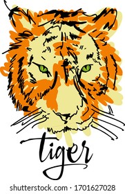 Tiger. Vector illustration.  