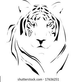 tiger vector illustration