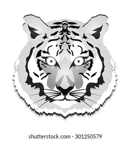 Tiger. Vector illustration.