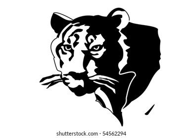 Tiger. Vector illustration.