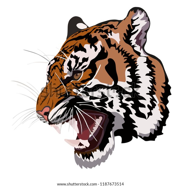 虎 ベクターイラスト のベクター画像素材 ロイヤリティフリー