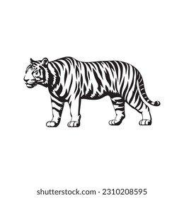 Tiger Vector illustration. Bear Vintage Logo