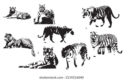 tiger vector illustration design black and white collection