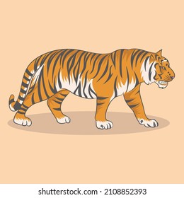 Tiger. Vector illustration. EPS 10