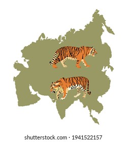 Tiger vector illustration isolated on Asia map continent silhouette on white background. Big wild cat. Siberian tiger (Amur tiger - Panthera tigris altaica) or Bengal tiger.