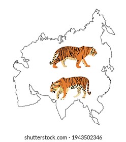 Tiger vector illustration isolated on Asia map continent contour on white background. Big wild cat. Siberian tiger (Amur tiger - Panthera tigris altaica) or Bengal tiger.