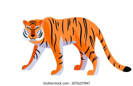 Tiger vector illustration isolated on white background. Big royal striped cat walking.