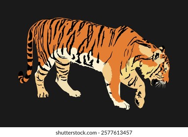 Tiger vector illustration isolated on black background. Big wild cat. Siberian tiger. Amur tiger, Panthera tigris altaica. Bengal tiger. Tatoo sign. Zoo attraction.