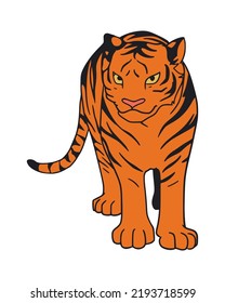 Tiger vector Illustration on white background