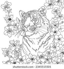 Tiger vector illustration, outline design drawing.