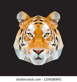 tiger vector illustration. Polygonal animal graphic design on black background