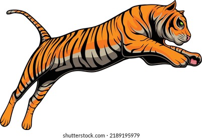 Tiger vector illustration with premium quality stock vector