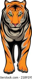 Tiger vector illustration with premium quality stock vector