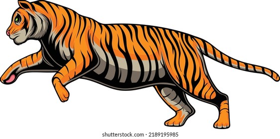 Tiger vector illustration with premium quality stock vector