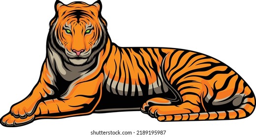 Tiger vector illustration with premium quality stock vector