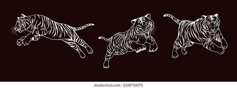 tiger  vector illustration illustration with white block consisting of three images