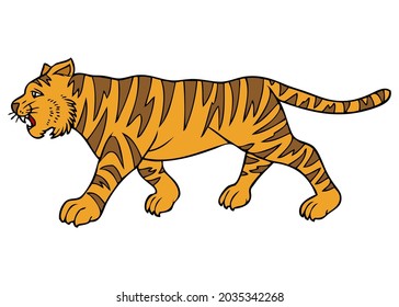 tiger vector illustration,isolated on white background,top view