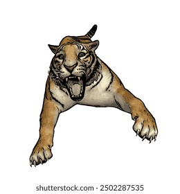 Tiger vector ilustration design isolated, this picture is animal ilustration vector panthera Tigris