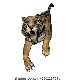 Tiger vector ilustration design isolated, this picture is animal ilustration vector panthera Tigris