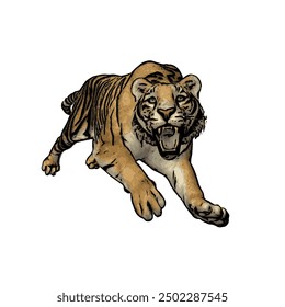 Tiger vector ilustration design isolated, this picture is animal ilustration vector panthera Tigris