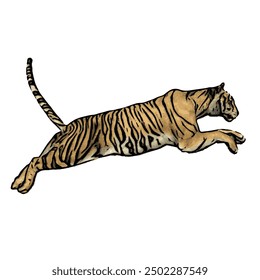 Tiger vector ilustration design isolated, this picture is animal ilustration vector panthera Tigris