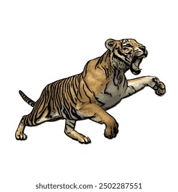 Tiger vector ilustration design isolated, this picture is animal ilustration vector panthera Tigris