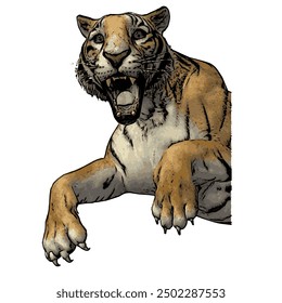 Tiger vector ilustration design isolated, this picture is animal ilustration vector panthera Tigris