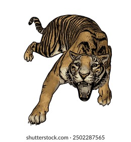 Tiger vector ilustration design isolated, this picture is animal ilustration vector panthera Tigris