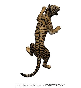 Tiger vector ilustration design isolated, this picture is animal ilustration vector panthera Tigris