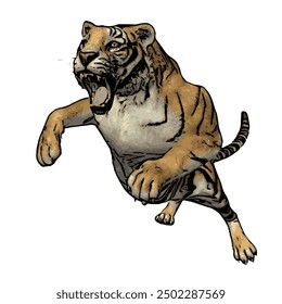 Tiger vector ilustration design isolated, this picture is animal ilustration vector panthera Tigris