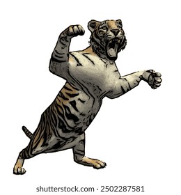 Tiger vector ilustration design isolated, this picture is animal ilustration vector panthera Tigris