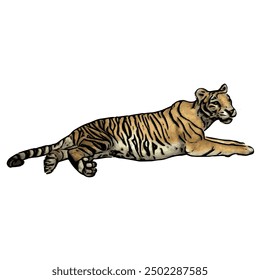 Tiger vector ilustration design isolated, this picture is animal ilustration vector panthera Tigris